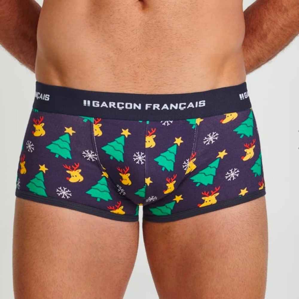 Garçon français French men, underwear briefs kitsch Christmas Santa brief trunk